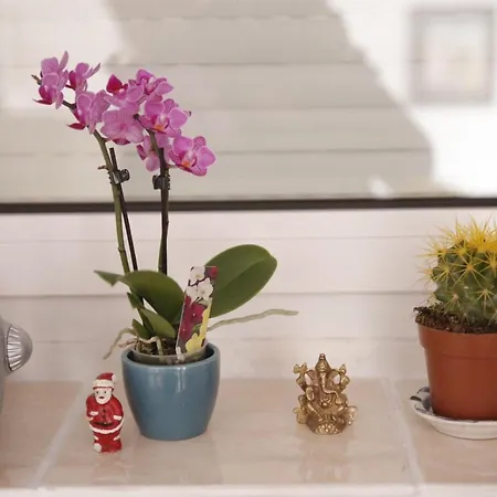 Ruta 34 Gornji Milanovac